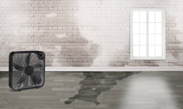Warden, WA Water damage restoration Company