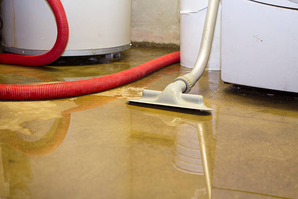 Best Water damage restoration insurance claims  in Rden, WA