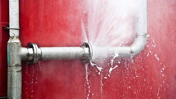 Carpet water damage restoration in Warden, WA